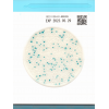 Easy Plate CC - Sistem Testare Microbiologica Coliforme, Placi Test Ready-to-Use